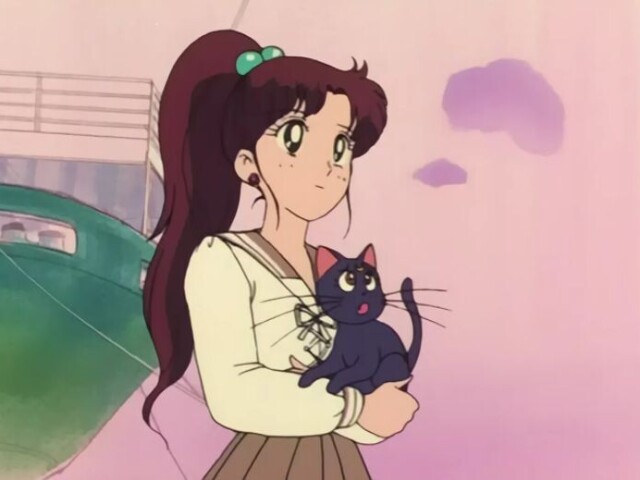 Sailor jupiter 🌱