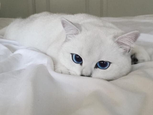๐