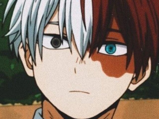 Shoto todoroki