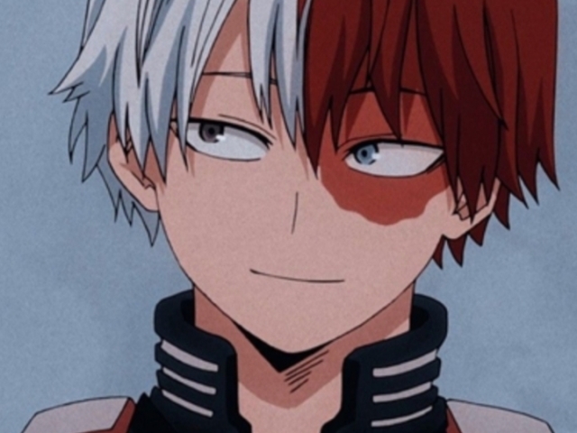 Shoto Todoroki