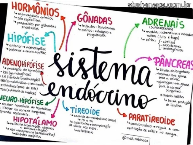 Vc conhece o sistema endócrino?