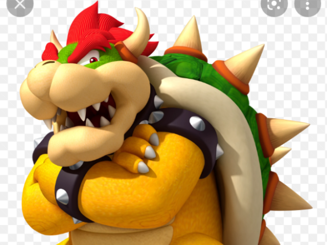 Bowser 🦹♂️