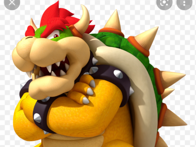 Bowser 🦹‍♂️