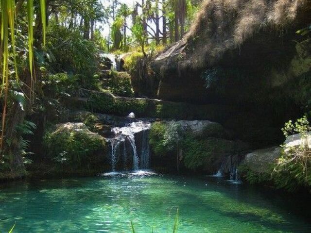 ~Nessa cachoeira~