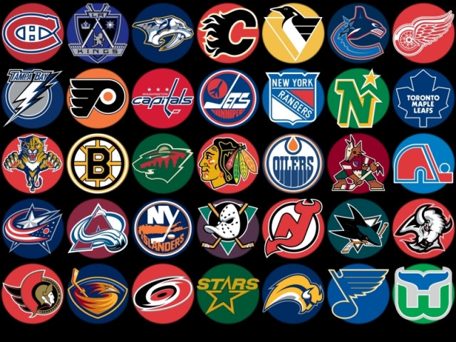 Qual time de hockey você seria?