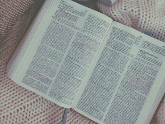 Você conhece todos os livros da bíblia!