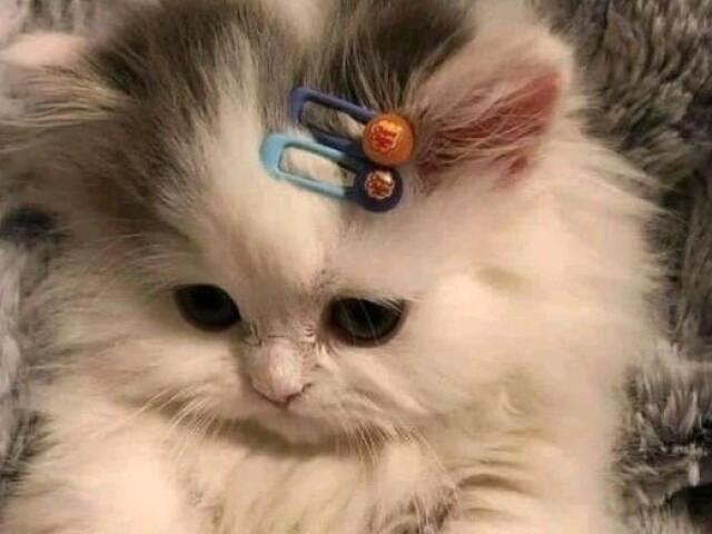 ๐พ