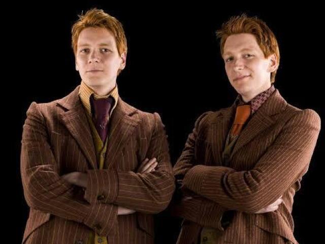 Você conhece Fred e Jorge Weasley?