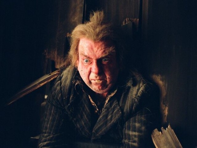 Peter Pettigrew