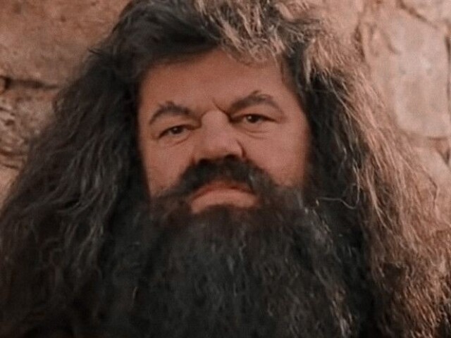 Hagrid