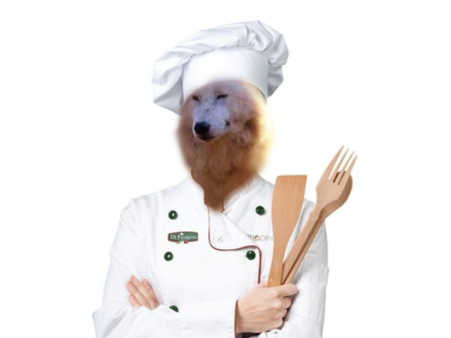 Ser cozinheira profissa👩🍳
