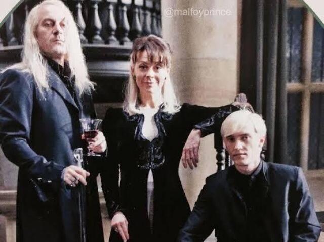 Parabéns você é da família Malfoy!!!