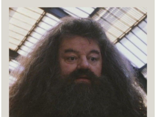 Rúbeo Hagrid