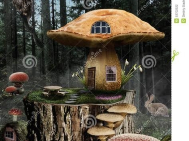 Casa cogumelo🍄