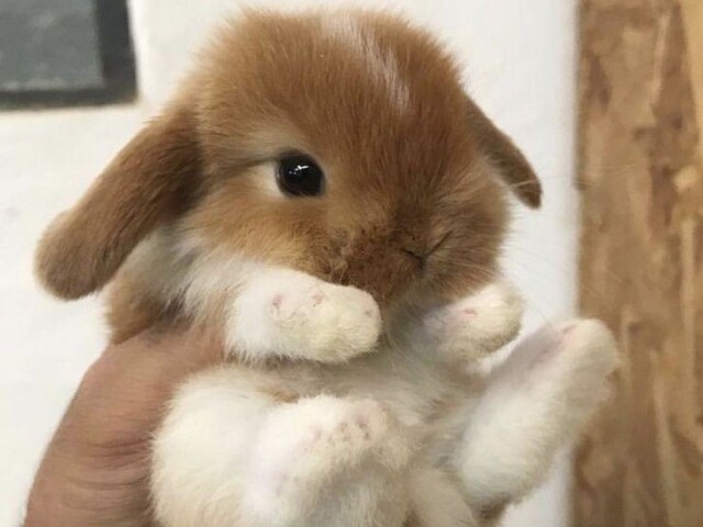 ๐ช๐๐๐๐๐๐๐ <3
