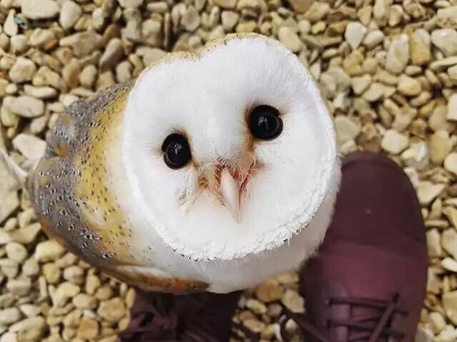 ๐ช๐๐๐๐๐๐๐๐ <3