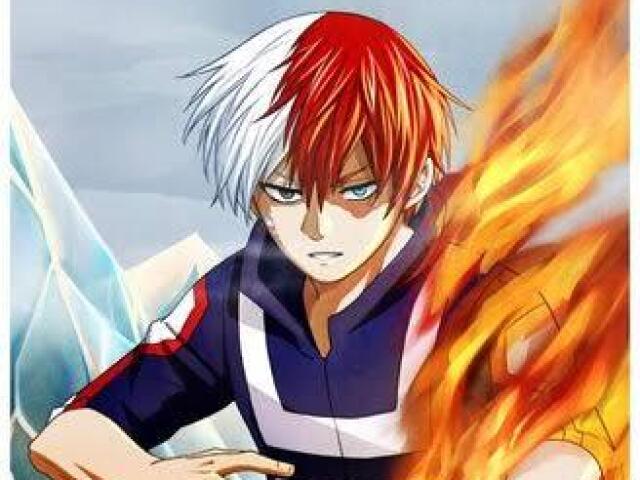 Você é Todoroki