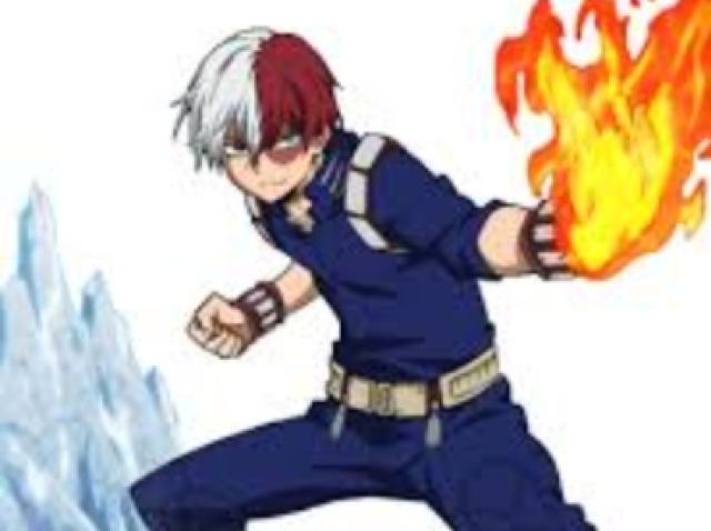 Shoto todoroki