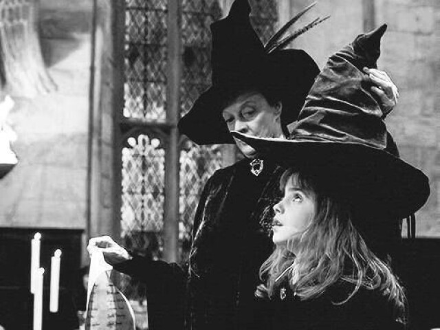 Harry Potter: Qual sua casa em Hogwarts?
