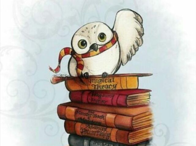 Você sabe tudo sobre Harry Potter?
