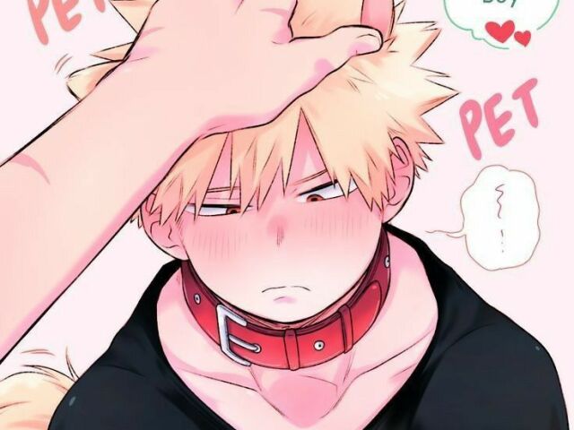 Bakugou(Kacchan)