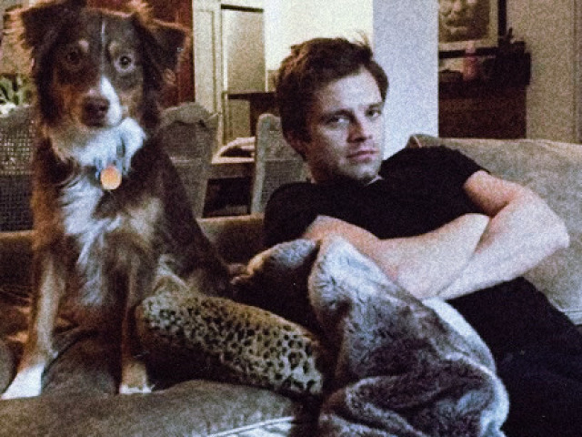 Sebastian Stan