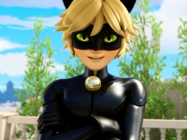 Cat noir