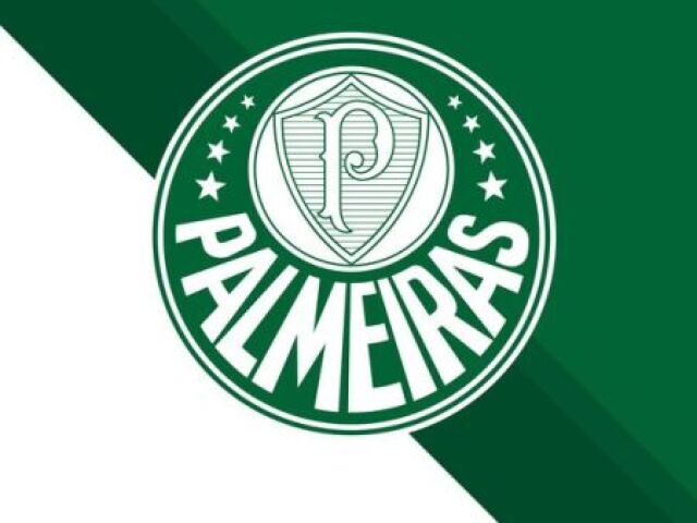 Camisa do Palmeiras