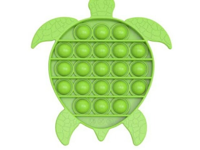 Tartaruga