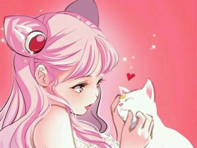 Sailor Chibi Moon🌒