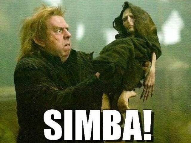 Qual vilão você seria em Harry Potter?