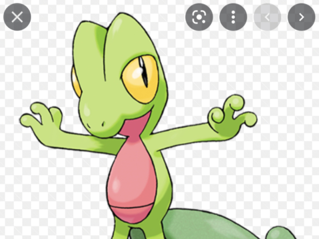 Treecko