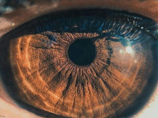 Olhos castanhos