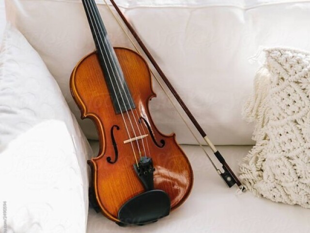 Violino