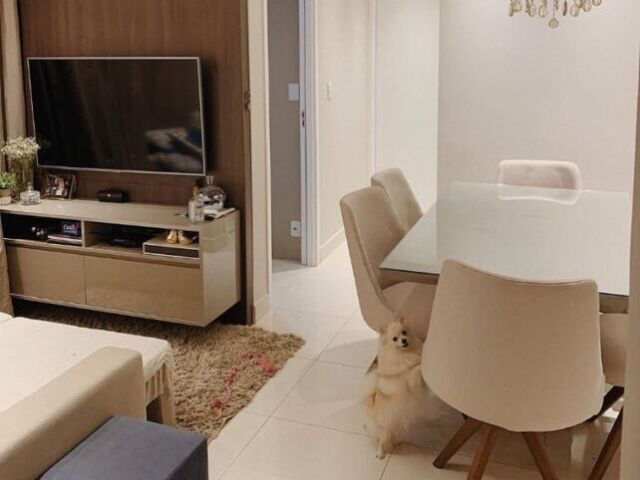 Apartamento simples <3