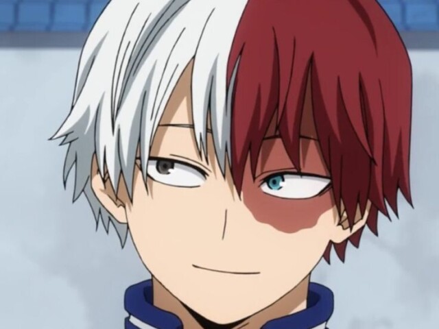 Shoko Todoroki(Boku No Hero Academia)