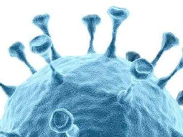 O termo IST passou a ser adotado em substituição ao termo DST porque destaca a possibilidade de uma pessoa ter e transmitir uma infecção, mesmo não apresentando sinais e sintomas.