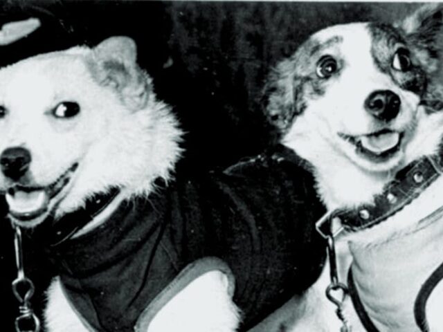 Belka e Strelka