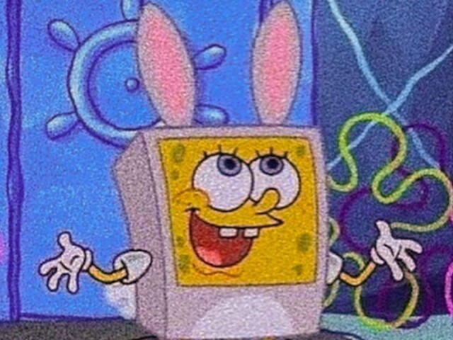 Bob esponja