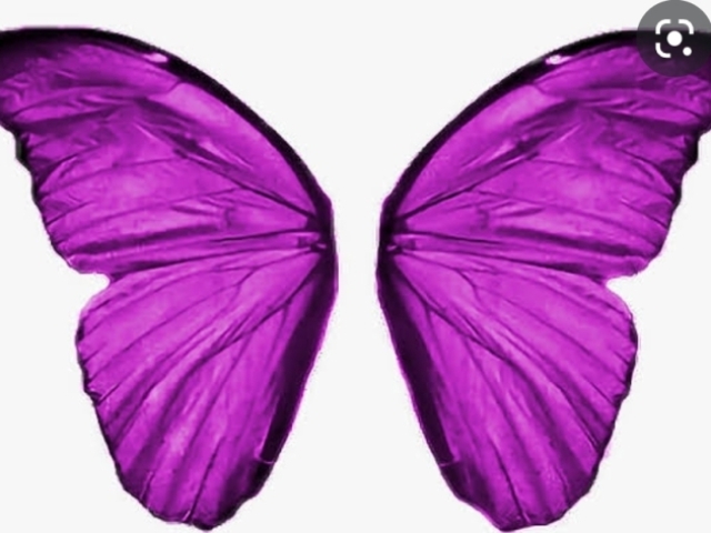 Roxo