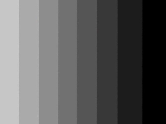 Preto ou branco ou cinza