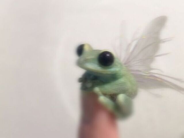 ๐ฅ