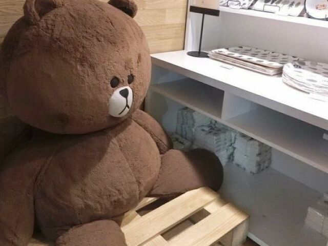 🐻