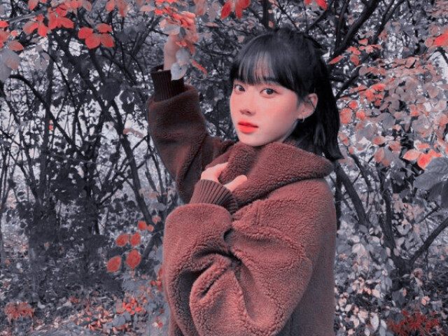 ๐ช๐ถ๐ป๐๐ฒ๐ฟ - ๐ฎ๐ฒ๐๐ฝ๐ฎ