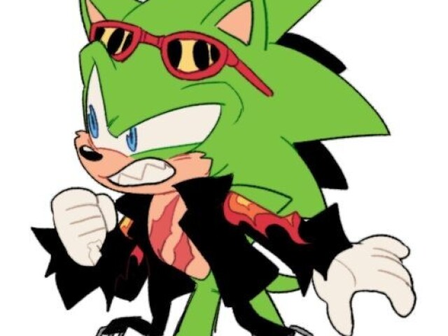 Scourge The Hedgehog