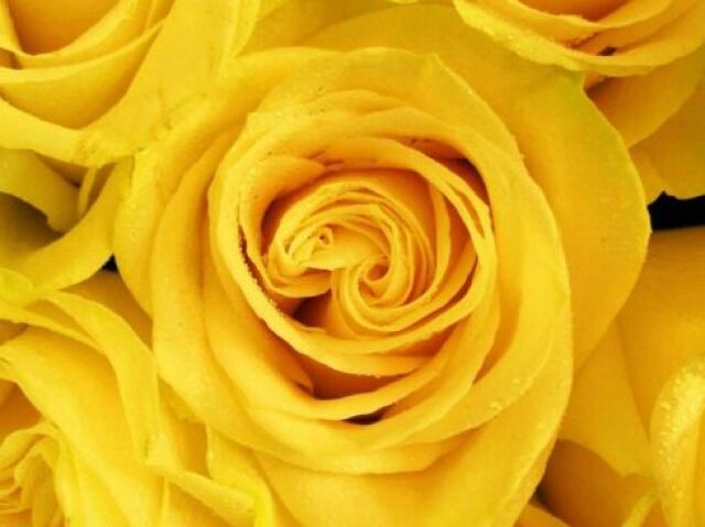 amarelo