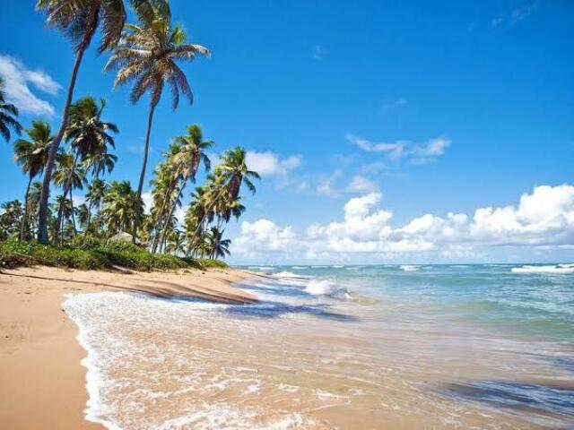 Vamos à praia