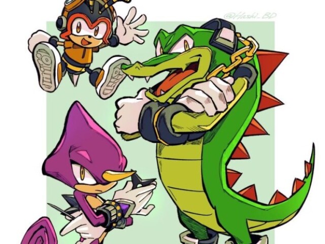 Team chaotix