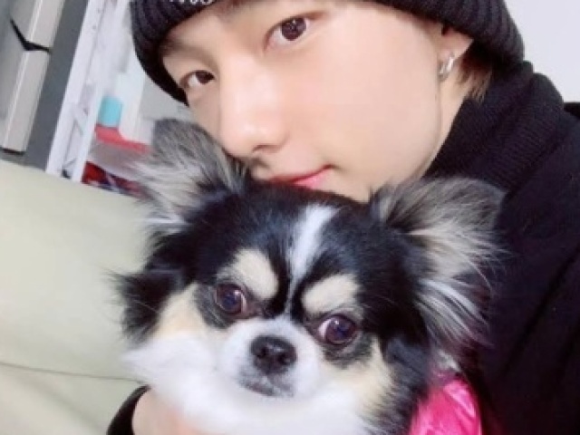 Cuidar do cachorrinho do Hyunjin.