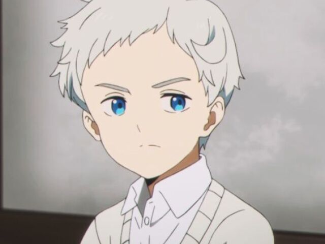 Norman (TPN)